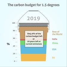 2019 Carbon budget bucket image